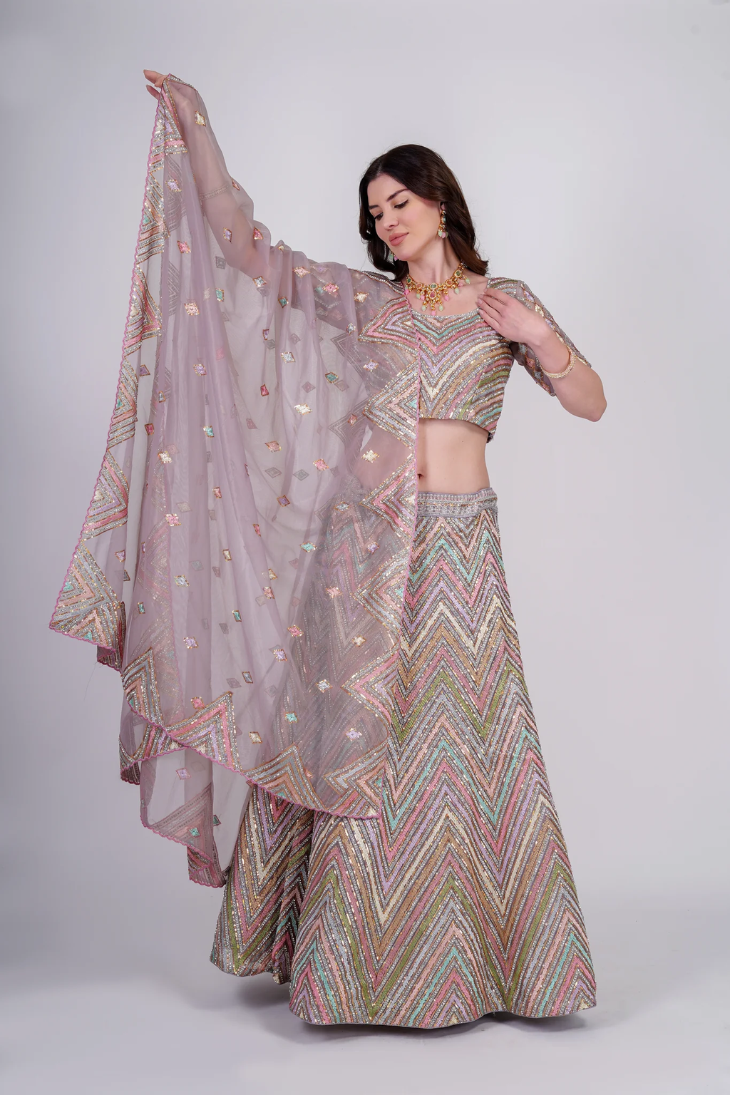 Aurora Chevron Sequin Lehenga